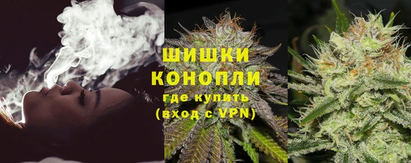 гидропоника Горняк