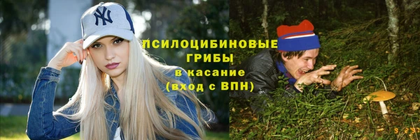 мдпв Володарск