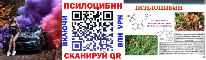 магазин    Гусиноозёрск  Псилоцибиновые грибы Psilocybe 